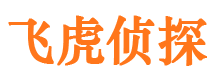 竹溪侦探公司